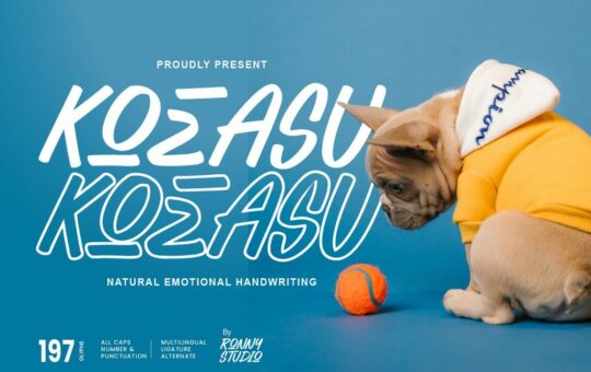 Koeasu-Emotional-Script-Font-1.jpg