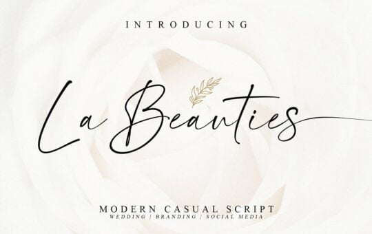 La-Beauties-Casual-Handwritten-Font-1.jpg
