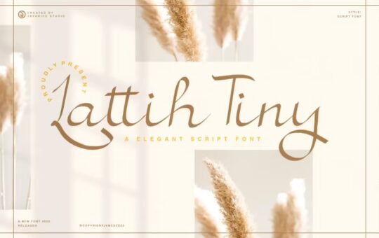 Lattih-Tiny-Elegant-Script-Font-1.jpg