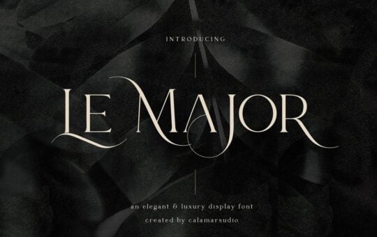 Le-Major-Display-Serif-Font-1.jpg