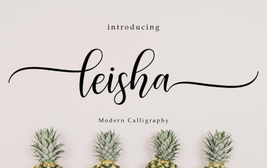 Leisa-Modern-Calligraphy-Font-1.jpg