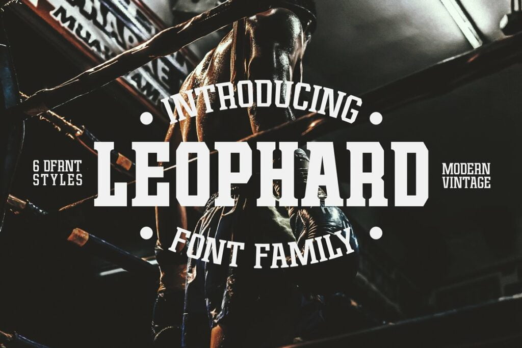 Leophard-Slab-Serif-Font-Family-1.jpg