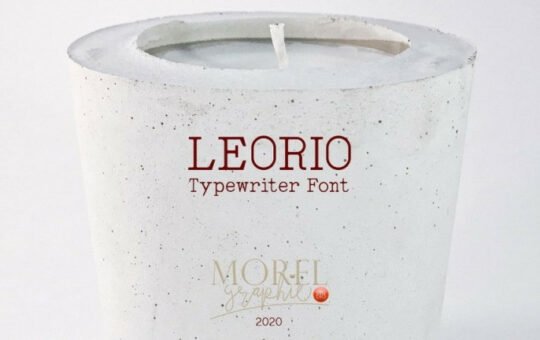 Leorio-Serif-Font-1.jpg