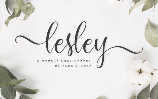Lesley-Calligraphy-Script-Font-1.jpg