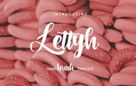 Lettyh-Brush-Font-1.jpg