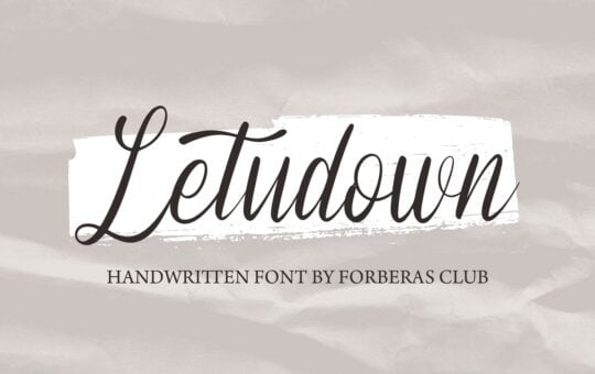Letudown-Elegant-Script-Font-1.jpg