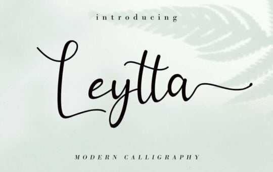 Leytta-Modern-Calligraphy-Font-1.jpg