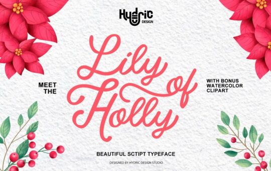 Lily-Of-Holly-Monoline-Script-Typeface.jpg