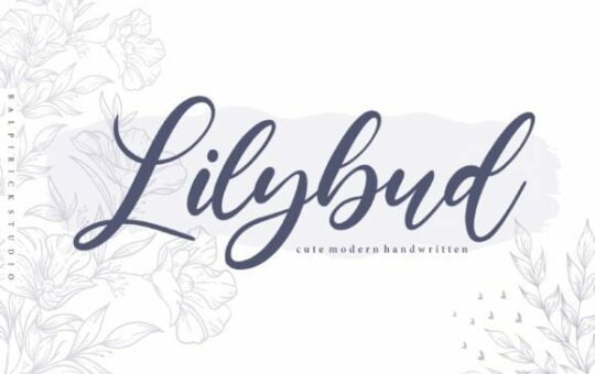 Lilybud-Handwritten-Font-1.jpg