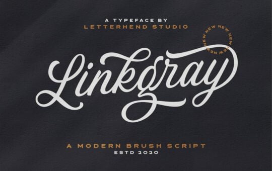 Linkgray-Script-Typeface-1.jpg