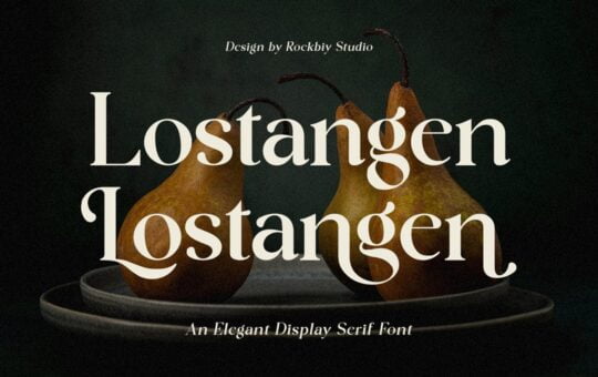 Lostangen-Elegant-Serif-Font-1.jpg