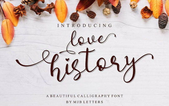 Love-History-Script-Font.jpg