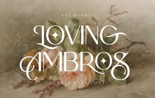 Loving-Ambros-Sans-Serif-Font-1.jpg