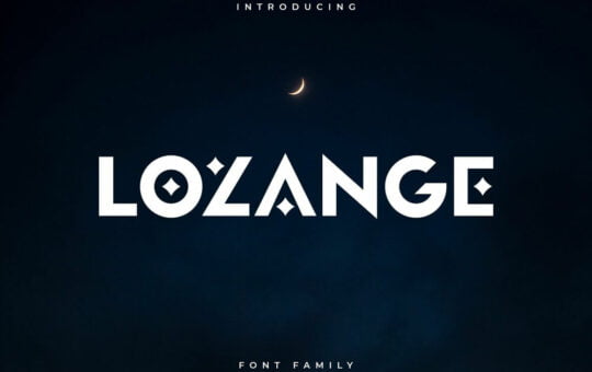 Lozange-Sans-Display-Font-1.jpg
