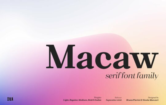 Macaw-Modern-Serif-Typeface-1.jpg