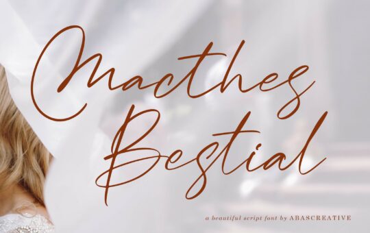 Macthes-Bestial-Handwritten-Font-1.jpg