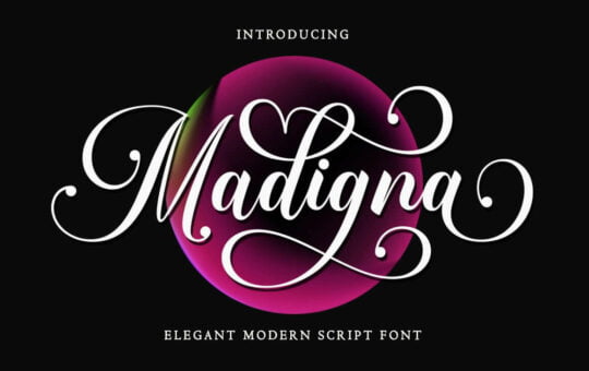 Madigna-Calligraphy-Font-1.jpg
