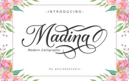 Madina-Calligraphy-Font-1.jpg