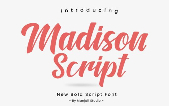 Madison-Bold-Script-Font-1.jpg
