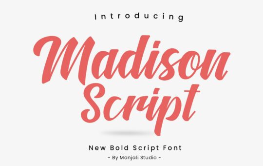 Madison-Script-Brush-Font-1.jpg