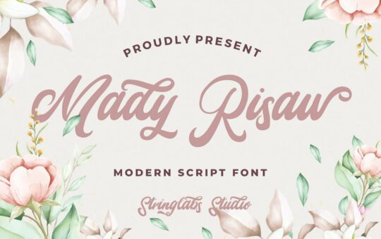 Mady-Risaw-Modern-Script-Font-1.jpg
