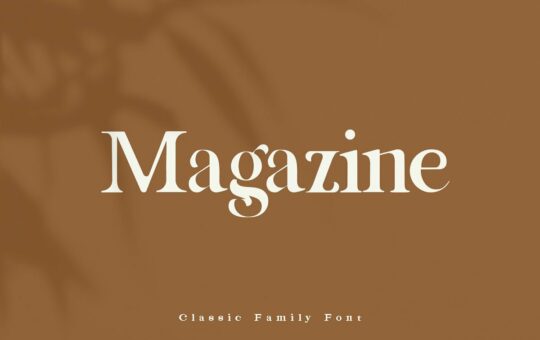 Magazine-Classic-Serif-Font.jpg