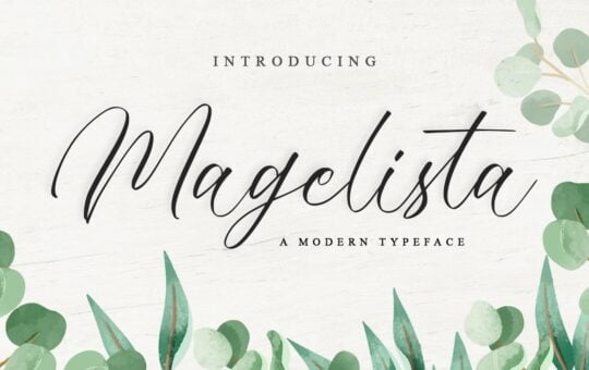 Magelista-Modern-Script-Font-1.jpg