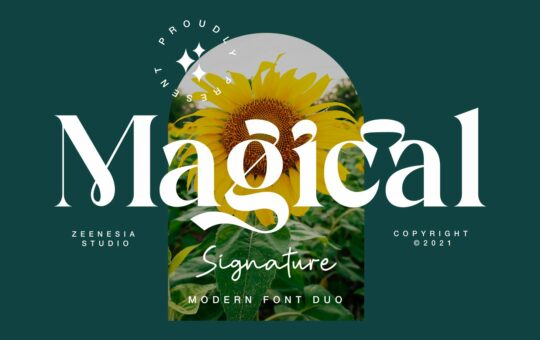 Magical-Signature-Font.jpg