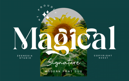 Magical-Signature-Serif-Font-1.png
