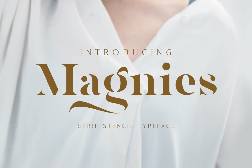 Magnies-Minimal-Serif-Font-1.jpg