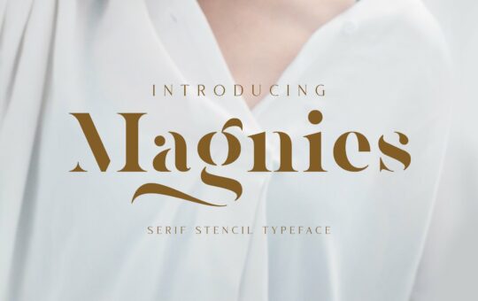 Magnies-Minimal-Serif-Font-1.jpg