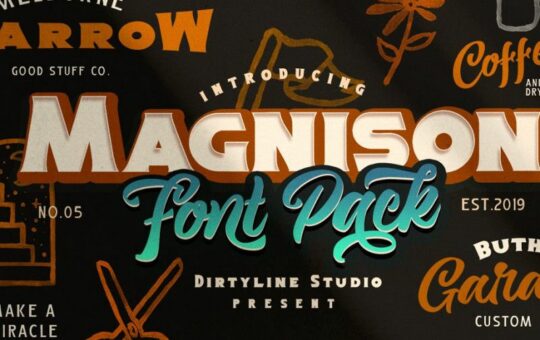 Magnison-Script-Font-1.jpg