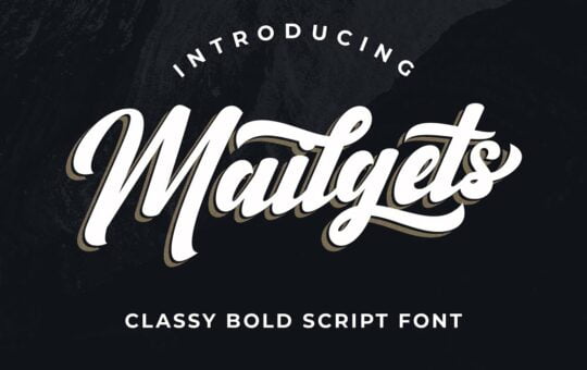 Mailgets-Bold-Script-Font-1.jpg