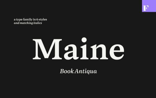 Maine-Serif-Font-Family-1.jpg