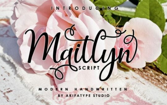 Maitlyn-Script-Font.jpg