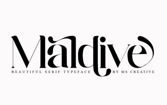 Maldive-Modern-Serif-Font-1.jpg