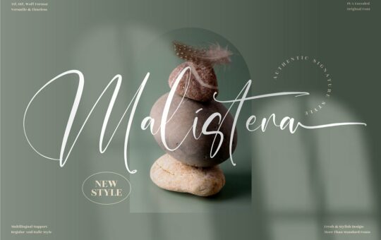 Malistera-Signature-Script-Font-1.jpg