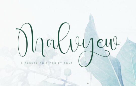 Malvyew-Casual-Calligraphy-Font-1.jpg