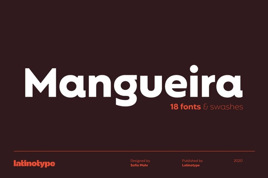 Mangueira-Sans-Serif-Font-Family-1.jpg