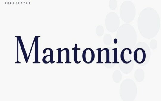 Mantonico-Serif-Font-Family-1.jpg