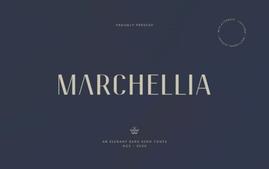 Marchellia-Sans-Serif-Font-1.jpg
