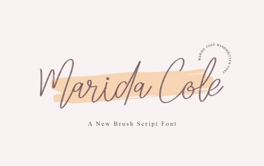 Marida-Cole-Handwritten-Script-Font-1.jpg