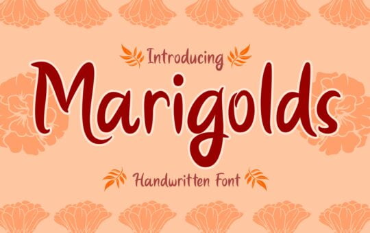 Marigolds-Font-by-Dreamink-7NTypes_1.jpg