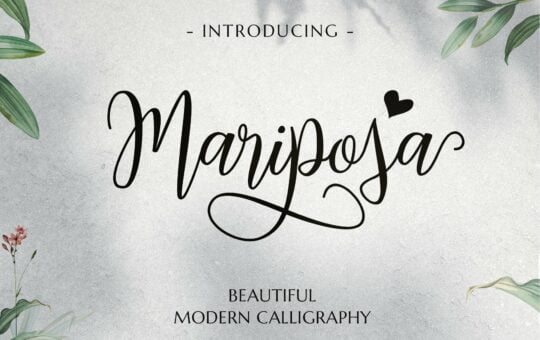 Mariposa-Script-Calligraphy-Font-1.jpg