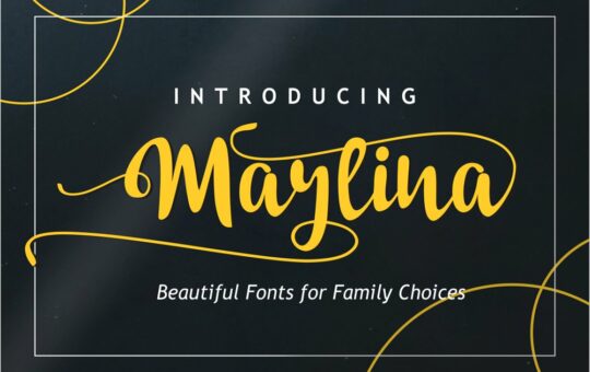Marlina-Calligraphy-Font-1.jpg