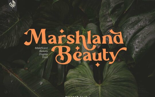 Marshland-Beauty-Font.jpg