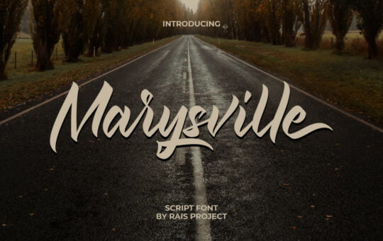 Marysville-Brush-Script-Font-1.jpg
