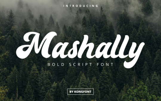 Mashally-Bold-Script-Font-1.png