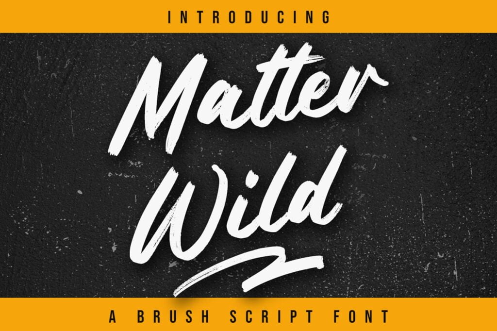 Matter-Wild-Script-Brush-Font-1.jpg
