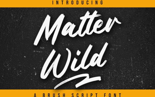 Matter-Wild-Script-Brush-Font-1.jpg